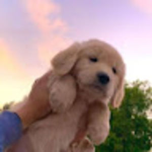 Meet your Posher, Minah pitts